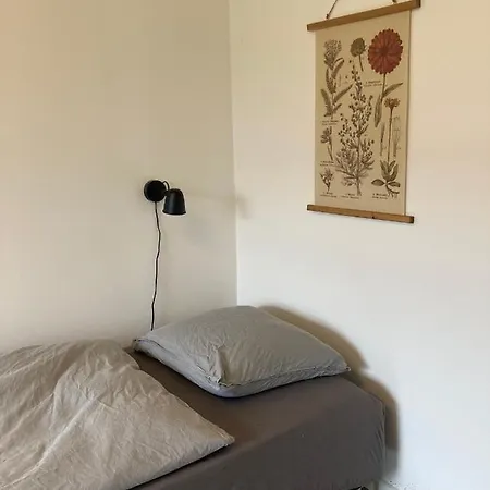 Med Private Vaerelser Delt Badevaerelse/kokken, Sj. ホームステイ